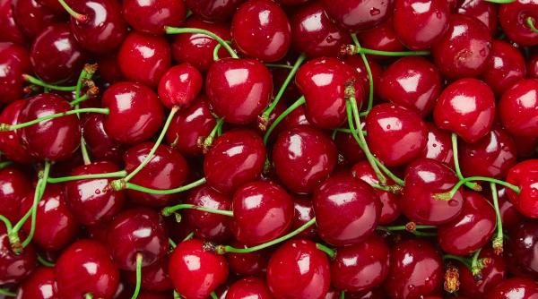 ciresele tratate cu fosmet interzise cultivatorii sunt nemultumiti