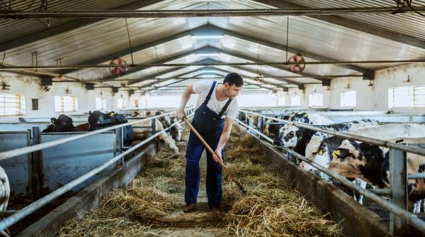 cate vaci trebuie sa ai pentru a accesa fonduri europene in 2023