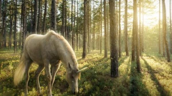 ce creatura mitologica esti in functie de zodie