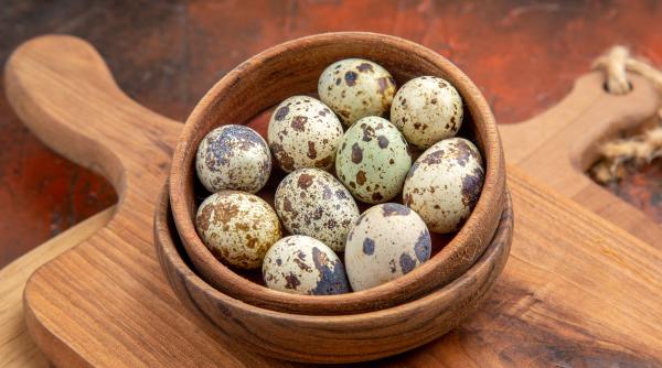 sunt mai sanatoase ouale de prepelita decat cele de gaina