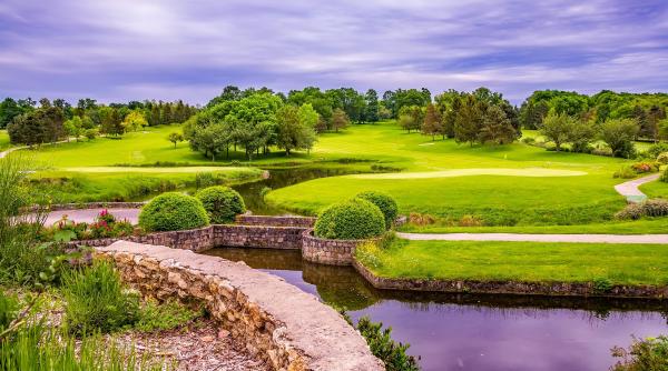 ce sunt piscinele bio cum sa construiesti o piscina naturala