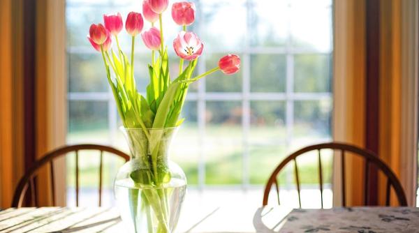 ce trebuie sa pui in apa pentru ca lalelele sa reziste mai mult timp