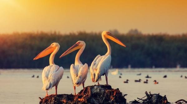 judetul tulcea promovat la targul de turism din republica moldova