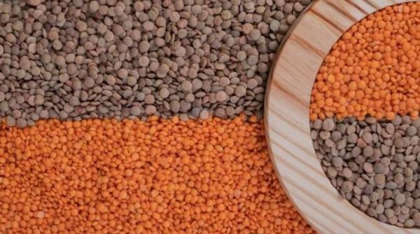 lintea are zeci de beneficii nepretuite iata cinci motive sa o consumi