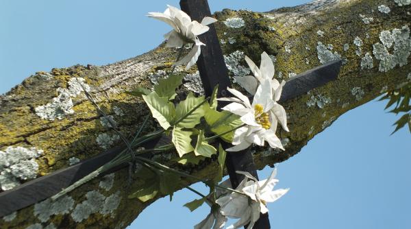 calendar crestin ortodox sarbatoare 3 aprilie 2023