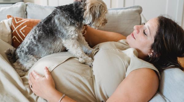 riscul de alergie alimentara la copii redus de animalele de companie mai ales daca esti insarcinata