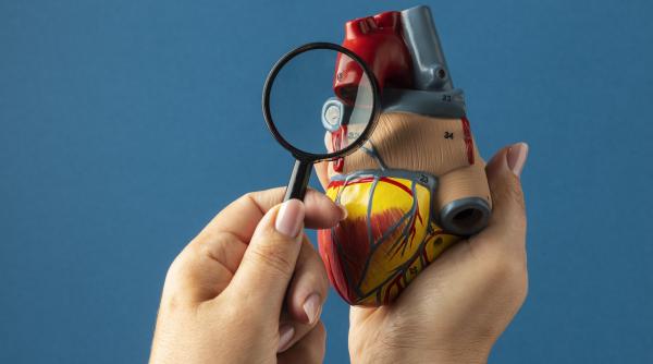 andrada bogdan sanador despre boala arteriala anevrisme si proceduri vasculare la dc news