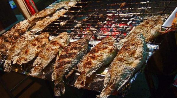 festivalul scrumbiei pe faleza dunarii la galati