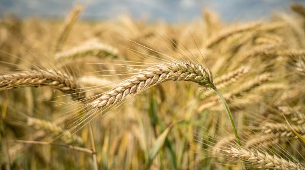 ministrul agriculturii din polonia demisioneaza pe fondul furiei fermierilor