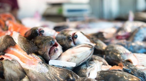 alerta alimentara ansvsa a retras de la vanzare 1 3 tone de peste