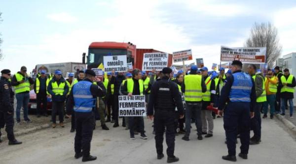 un deputat psd cere taxe vamale pentru cerealele din ucraina care se vand in romania