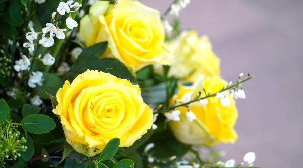 ce flori nu se ofera de florii