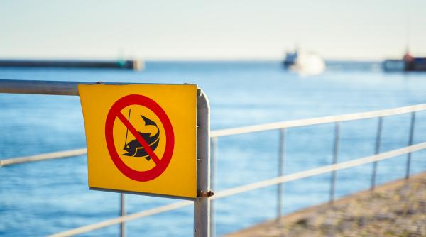 pescuitul interzis in romania cat va dura prohibitia