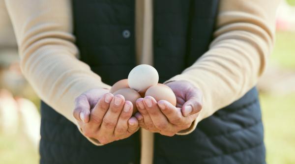 avertisment anpc nu cumparati carne de miel sau oua de pe marginea drumului