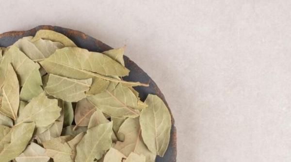 cat timp se tine o frunza de dafin in supa tine minte regula ca sa nu te otravestia