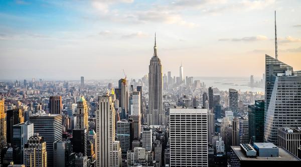 new york a desemnat un sef al sobolanilor care se va ocupa cu eradicarea si controlul a 2 milioane de rozatoare din oras video