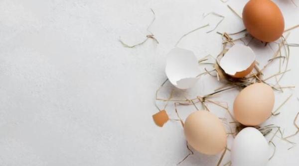 nu arunca cojile de oua le poti pune in gradina secretul gradinarilor a fost aflat