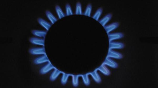 consumul de gaze va fi micsorat au convenit statele membre g7