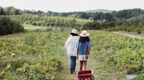 este o alegere neobisnuita pentru tinerii de varsta mea dar pentru mine este o alegere de viata romanca de 27 de ani agricultoare in italia nu este un sacrificiu sa ma murdaresc cu pamant