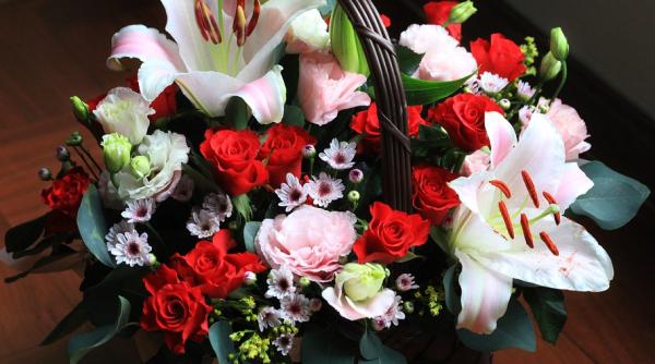 o floare nelispita de pe masa de paste toxica pentru pisici trebuie sa stii asta daca ai o felina in casa