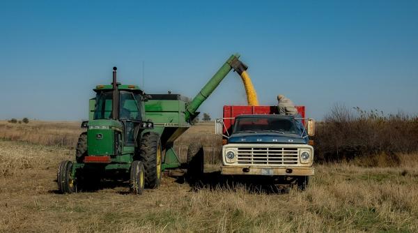 scandalul cerealelor ucrainene adrian negrescu ar trebui sa interzicem si noi accesul vin si ingroapa tot ce inseamna producatori romani
