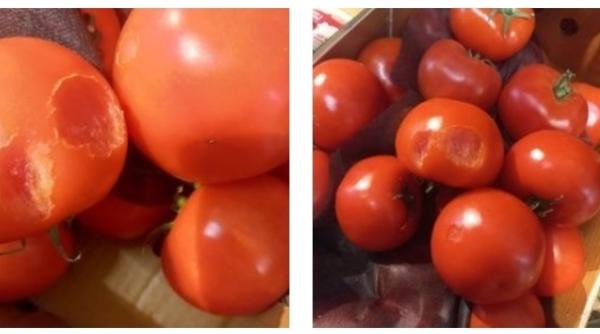 rosii muscate de soareci intr un supermarket din romania clientii s au revoltat