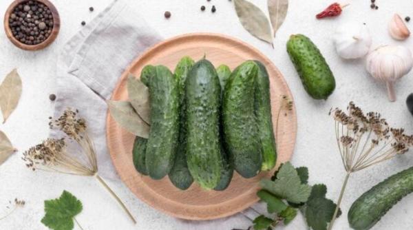 castraveti prajiti cea mai populara reteta din bucataria coreeana