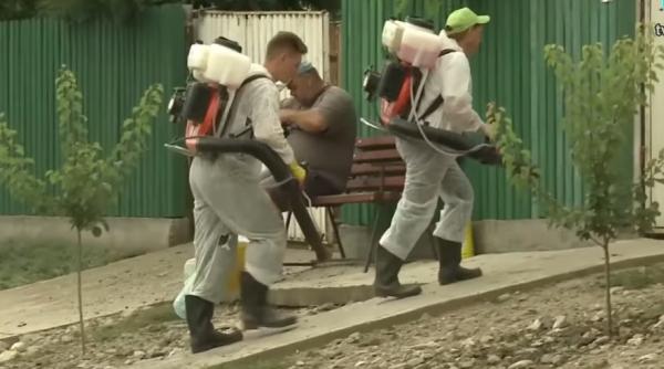 o noua boala face ravagii printre animale fermierii romani sunt ingrijorati