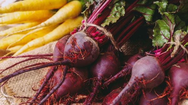 romania a pierdut culturi mari de sfecla ceapa si cartofi dragos frumosu sindalimenta de ce si fermierii au o mica vina video