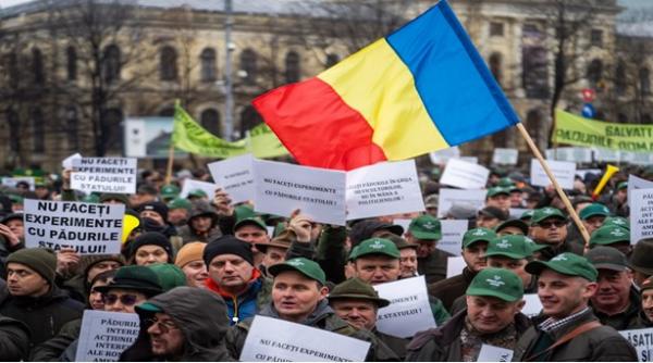 silvicultorii protesteaza din nou la parlament nu faceti experimente cu padurile statului