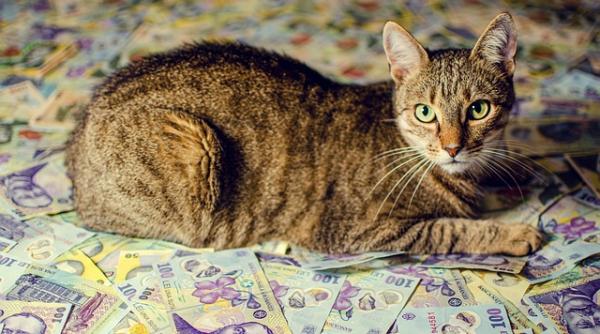 care sunt cele mai mari riscuri financiare lista inteligentei artificiale