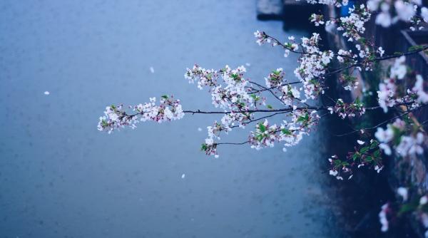 vremea se raceste din nou iulia barbulescu anm vor fi ploi si intensificari ale vantului