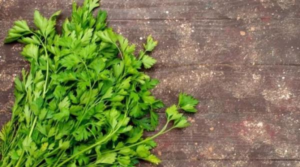 planta care poate fi toxica cu totii o folosim pentru a da aroma bucatelor