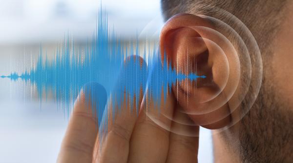 sperante pentru cei care si au pierdut auzul un experiment pe soareci vine cu solutia