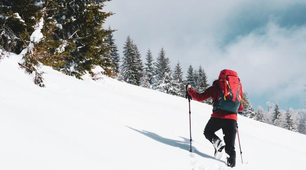 avalansa care a dus la un moment de rascruce in anm cotofan director regional s a infiintat serviciul de nivometeorologie