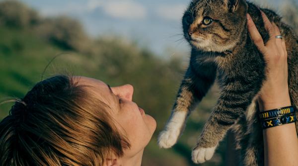 de ce se intinde pisica pe spate