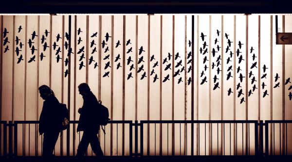 cum ajung migrantii in romania comisarul sef nicolae hamzu muncitorii straini vin in tara noastra cu vize de munca si apoi incearca