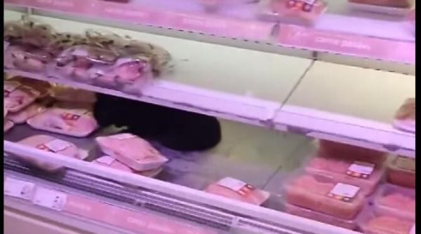 o pisica neagra a mancat un pui dintr o vitrina frigorifica in vazul tuturor imagini virale intr un hypermarket din bucuresti