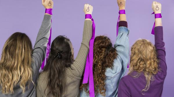 egalitate de sanse pe bune initiativa laudabila a senatoarei anca dragu se poate transforma intr o institutie reala si nu doar formala