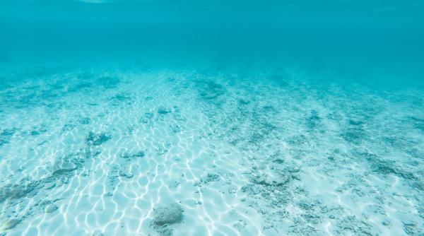 un drum vechi de 7 000 de ani a fost descoperit pe fundul marii mediterane foto