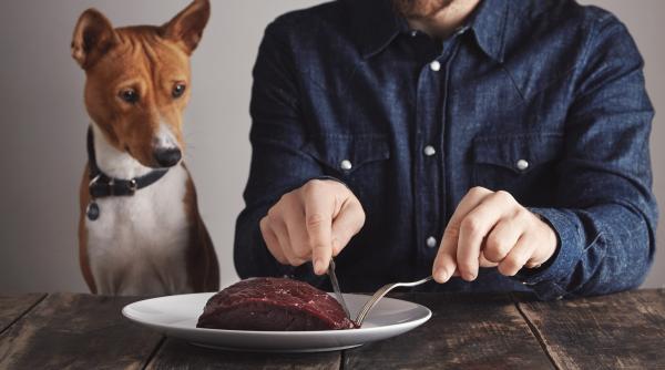 carnea sintetica de laborator ar putea fi de 25 de ori mai nociva pentru mediu decat carnea de vita