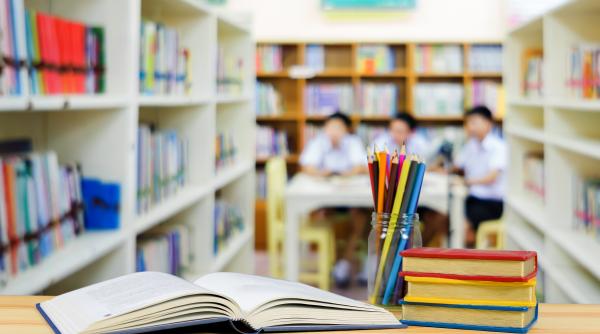 modificari pe legile educatiei natalia intotero proiectul va merge mai departe la senat