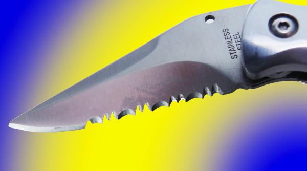 doi revolutionari prinsi cu mai multe cutite in parlament chirieac poate ca nu erau multumiti ca alea de la cantina nu taie