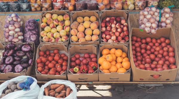 teste rapide pentru legume in piete vlad mircea pufu pnl sa stim ce punem pe masa dreptul la sanatate este fundamental