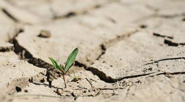 un primar din franta da vina pe consumul excesiv de apa al vedetelor pentru seceta care ameninta tara