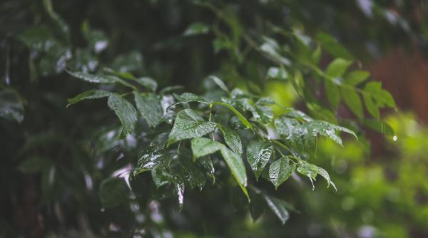 anm prognoza meteo cum va fi vremea elena anm prognoza meteo cum va fi vremea pana pe 21 mai elena mateescu vom consemna cantitati de precipitatii