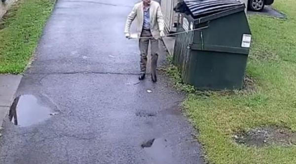 cand a deschis tomberonul a ramas socat nu te astepti sa gasesti asa ceva in gunoi