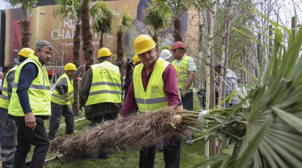 cand nicusor dan l a acuzat pe robert negoita ca l sfideaza nu se astepta la asta edilul sectorului 3 anunta plantarea a 300 de palmieri