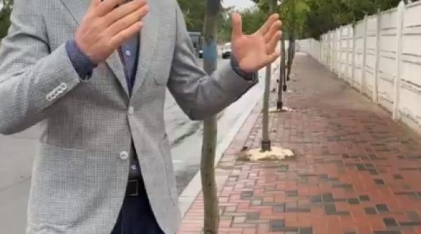 robert negoita am facut plangeri la politie privind o solutie pusa la radacina copacilor de pe strada nicolae teclu oameni rai ticalosi video