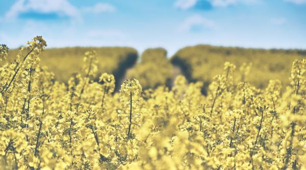 vremea in weekend elena mateescu anm prognoza meteo